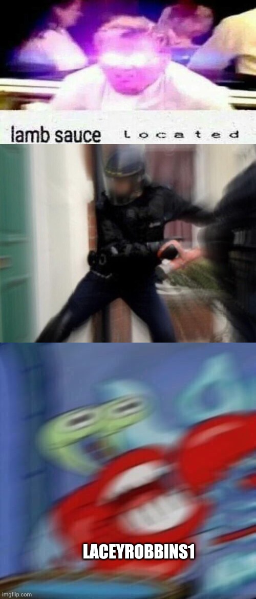LACEYROBBINS1 | image tagged in lamb sauce l o c a t e d,fbi door breach,mr krabs blur | made w/ Imgflip meme maker