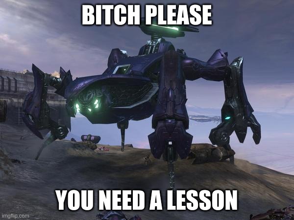 Scarab | BITCH PLEASE YOU NEED A LESSON | image tagged in scarab | made w/ Imgflip meme maker