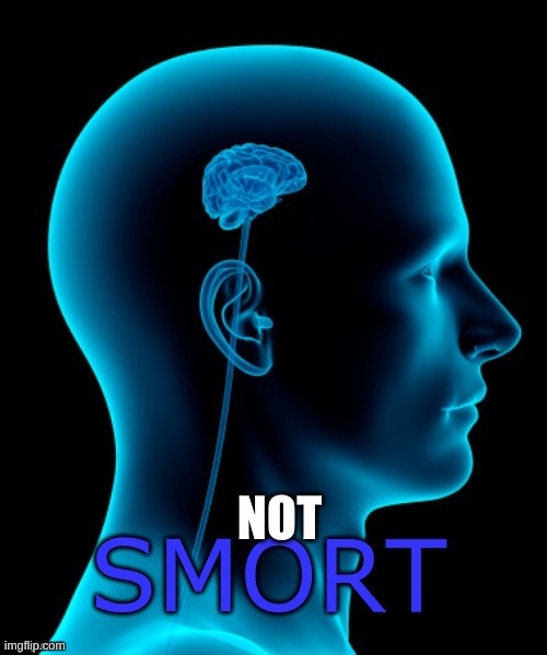 smort | NOT | image tagged in smort | made w/ Imgflip meme maker