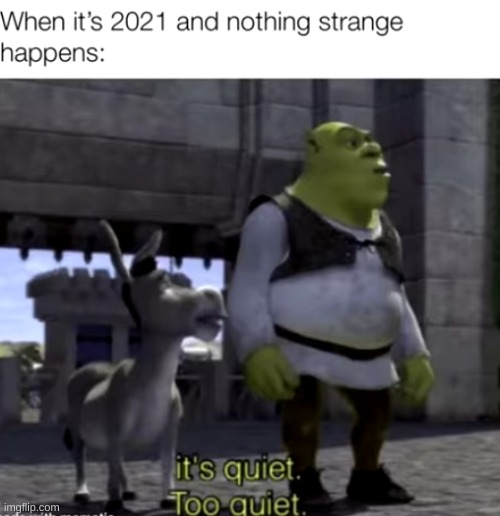 hol up | image tagged in memes,funny,pandaboyplaysyt | made w/ Imgflip meme maker