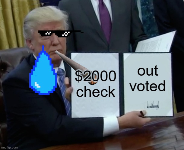 Trump Bill Signing Meme | $2000 check; out voted | image tagged in memes,trump bill signing | made w/ Imgflip meme maker
