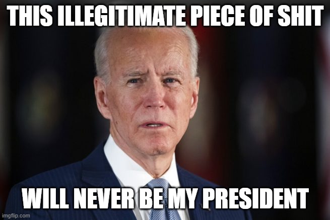 meme | THIS ILLEGITIMATE PIECE OF SHIT; WILL NEVER BE MY PRESIDENT | image tagged in political meme | made w/ Imgflip meme maker