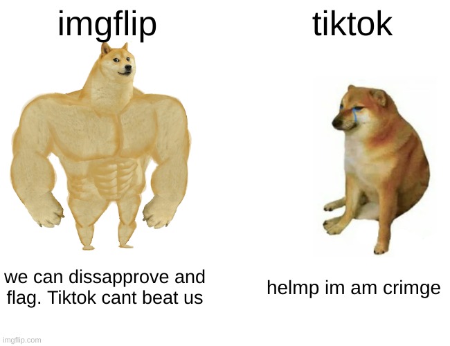 It's ok, we can win the war | imgflip; tiktok; we can dissapprove and flag. Tiktok cant beat us; helmp im am crimge | image tagged in memes,buff doge vs cheems | made w/ Imgflip meme maker