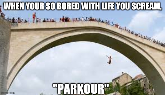 PARKOUR!!!! | WHEN YOUR SO BORED WITH LIFE YOU SCREAM, "PARKOUR" | image tagged in parkour | made w/ Imgflip meme maker