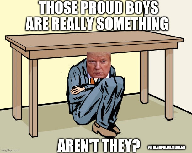 Dr. Frankenstein | THOSE PROUD BOYS ARE REALLY SOMETHING; AREN'T THEY? @THESUPREMEMEME69 | image tagged in memes,donald trump,scumbag,well that escalated quickly,scared cat | made w/ Imgflip meme maker