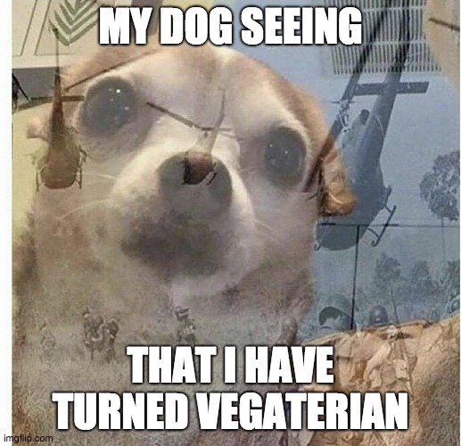 PTSD Chihuahua | MY DOG SEEING; THAT I HAVE TURNED VEGATERIAN | image tagged in ptsd chihuahua | made w/ Imgflip meme maker