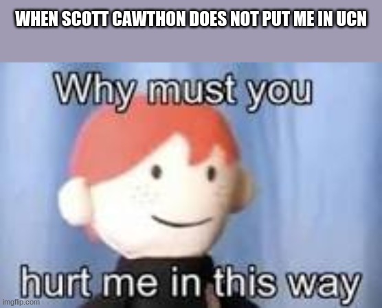 Why must you hurt me in this way | WHEN SCOTT CAWTHON DOES NOT PUT ME IN UCN | image tagged in why must you hurt me in this way | made w/ Imgflip meme maker