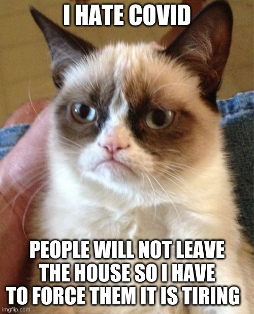 covid life for cats | I HATE COVID; PEOPLE WILL NOT LEAVE THE HOUSE SO I HAVE TO FORCE THEM IT IS TIRING | image tagged in memes,grumpy cat | made w/ Imgflip meme maker