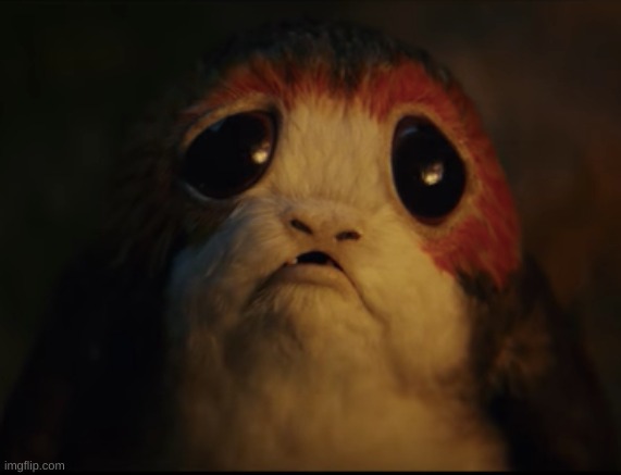 Porg with big sad eyes | image tagged in porg with big sad eyes | made w/ Imgflip meme maker