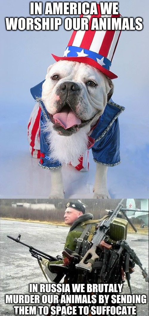 Pets of the world | IN AMERICA WE WORSHIP OUR ANIMALS; IN RUSSIA WE BRUTALY MURDER OUR ANIMALS BY SENDING THEM TO SPACE TO SUFFOCATE | image tagged in russia,america,pets,memes,animals | made w/ Imgflip meme maker