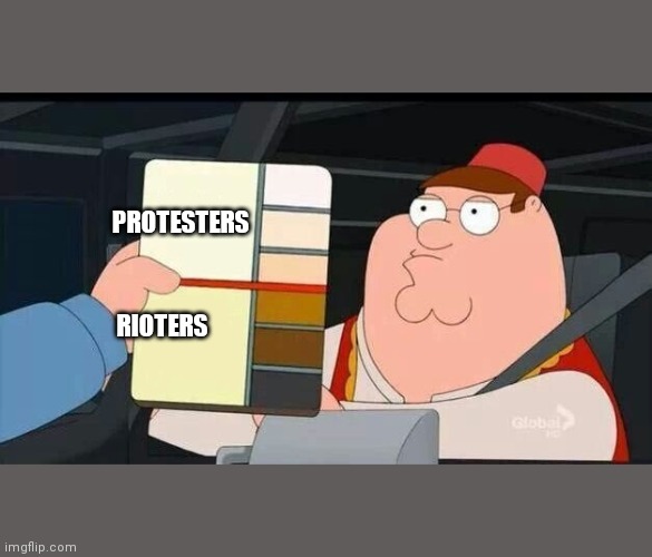 Peter Griffin skin color chart race terrorist blank | PROTESTERS; RIOTERS | image tagged in peter griffin skin color chart race terrorist blank | made w/ Imgflip meme maker