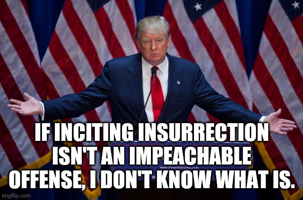 IMPEACH TRUMP. | IF INCITING INSURRECTION ISN'T AN IMPEACHABLE OFFENSE, I DON'T KNOW WHAT IS. | image tagged in donald trump | made w/ Imgflip meme maker
