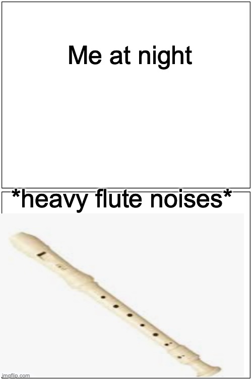 Blank Comic Panel 1x2 Meme | Me at night; *heavy flute noises* | image tagged in memes,blank comic panel 1x2,flute | made w/ Imgflip meme maker