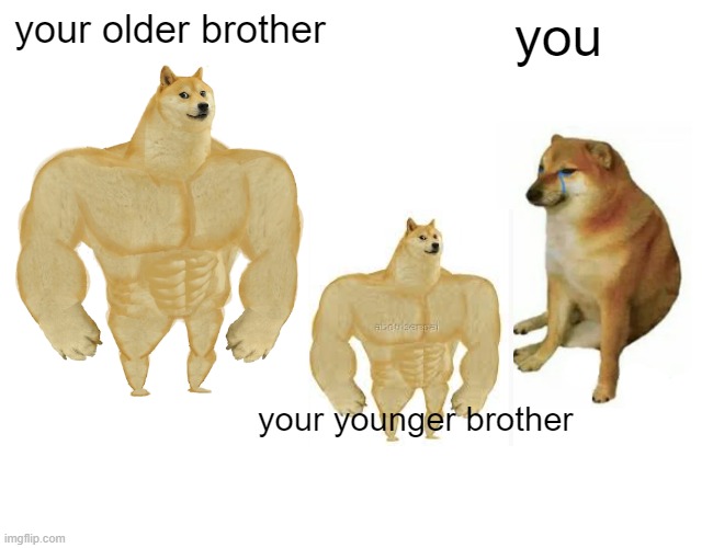 Buff Doge vs. Cheems | your older brother; you; your younger brother | image tagged in memes,buff doge vs cheems | made w/ Imgflip meme maker