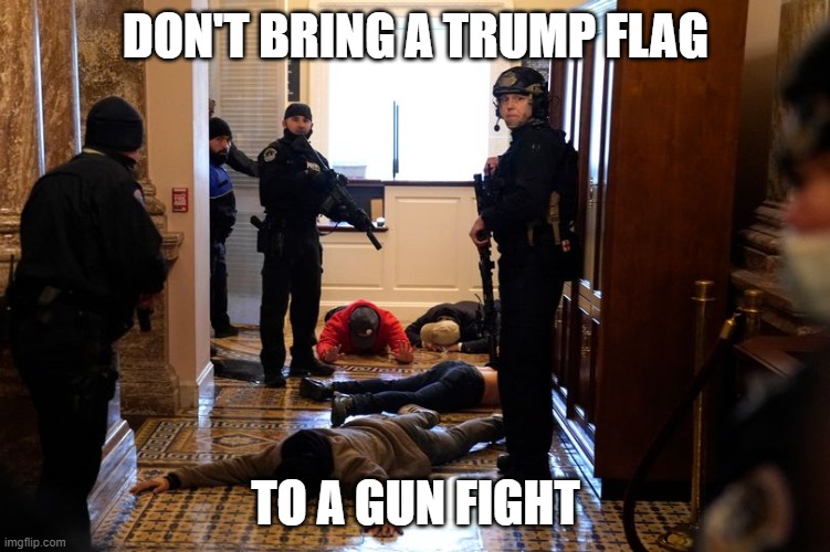 Trumptards | DON'T BRING A TRUMP FLAG; TO A GUN FIGHT | image tagged in dummies | made w/ Imgflip meme maker