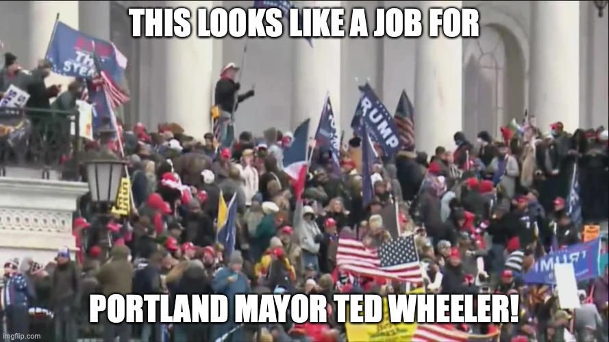 THIS LOOKS LIKE A JOB FOR; PORTLAND MAYOR TED WHEELER! | image tagged in riots,trump,capitol | made w/ Imgflip meme maker
