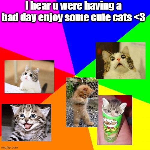 Blank Colored Background | I hear u were having a bad day enjoy some cute cats <3 | image tagged in memes,blank colored background | made w/ Imgflip meme maker