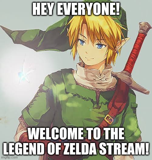 Welcome! | HEY EVERYONE! WELCOME TO THE LEGEND OF ZELDA STREAM! | image tagged in link | made w/ Imgflip meme maker