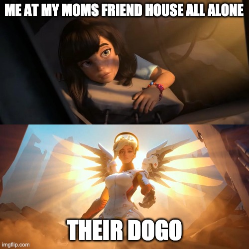 Girl being saved by glowing angel | ME AT MY MOMS FRIEND HOUSE ALL ALONE; THEIR DOGO | image tagged in girl being saved by glowing angel | made w/ Imgflip meme maker
