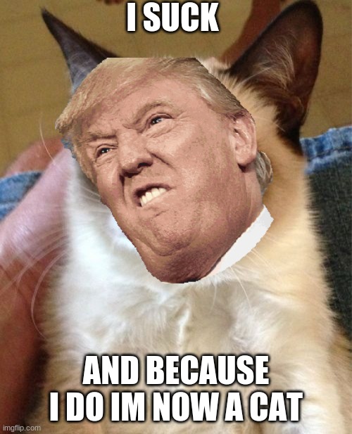 TRUMP SUCKS | I SUCK; AND BECAUSE I DO IM NOW A CAT | image tagged in memes | made w/ Imgflip meme maker