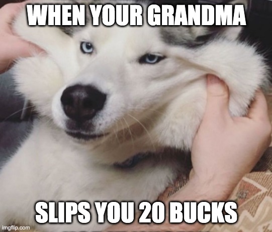 for crazymemes, he made this template | WHEN YOUR GRANDMA; SLIPS YOU 20 BUCKS | image tagged in doggo | made w/ Imgflip meme maker