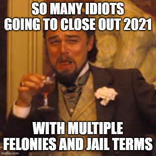 Laughing Leo Meme | SO MANY IDIOTS GOING TO CLOSE OUT 2021 WITH MULTIPLE FELONIES AND JAIL TERMS | image tagged in memes,laughing leo | made w/ Imgflip meme maker