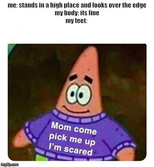 ................................................................................................................................ | image tagged in patrick mom come pick me up i'm scared | made w/ Imgflip meme maker