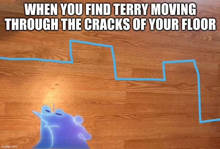 Terry Time | WHEN YOU FIND TERRY MOVING THROUGH THE CRACKS OF YOUR FLOOR | image tagged in funny,memes | made w/ Imgflip meme maker