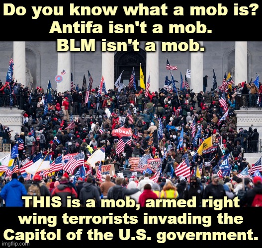 A U.S. president encourages street thugs to invade the Senate. If you're not shocked by this, you're not much of an American. | Do you know what a mob is?
Antifa isn't a mob.
BLM isn't a mob. THIS is a mob, armed right wing terrorists invading the Capitol of the U.S. government. | image tagged in trump,right wing,terrorists,coup,riot | made w/ Imgflip meme maker