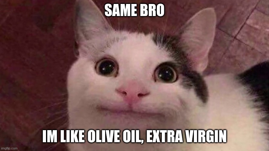 I'm OK with This | SAME BRO IM LIKE OLIVE OIL, EXTRA VIRGIN | image tagged in i'm ok with this | made w/ Imgflip meme maker