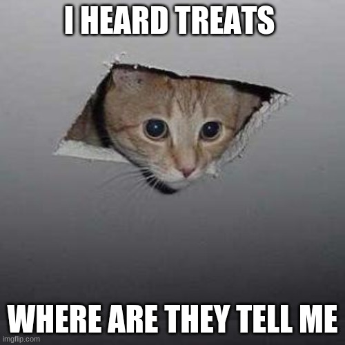Ceiling Cat | I HEARD TREATS; WHERE ARE THEY TELL ME | image tagged in memes,ceiling cat | made w/ Imgflip meme maker