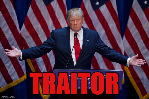 USA traitor | TRAITOR | image tagged in donald trump | made w/ Imgflip meme maker