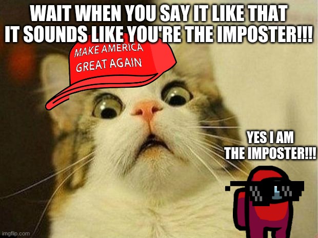 Scared Cat | WAIT WHEN YOU SAY IT LIKE THAT IT SOUNDS LIKE YOU'RE THE IMPOSTER!!! YES I AM THE IMPOSTER!!! | image tagged in memes,scared cat | made w/ Imgflip meme maker