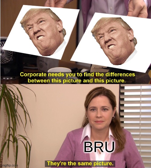 ummmmm.... | BRU | image tagged in memes,they're the same picture | made w/ Imgflip meme maker