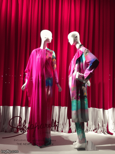Curtains for Schiaparelli | image tagged in gifs,fashion,schiaparelli,window design,bergdorf goodman,curtains | made w/ Imgflip images-to-gif maker