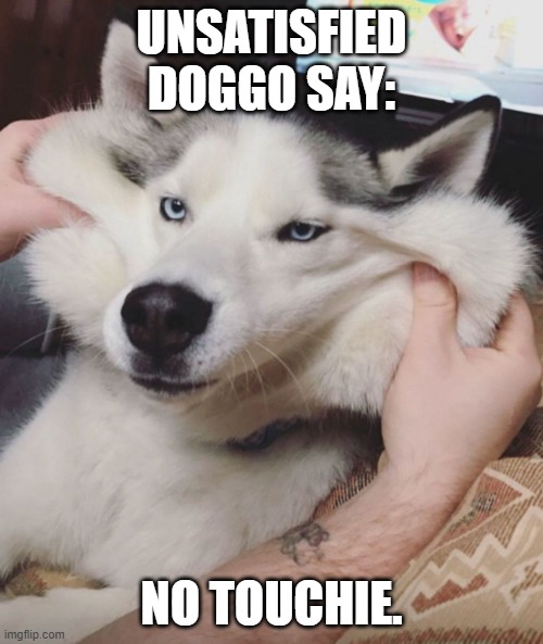 When auntie comes over | UNSATISFIED DOGGO SAY:; NO TOUCHIE. | image tagged in unsatisfied doggo | made w/ Imgflip meme maker