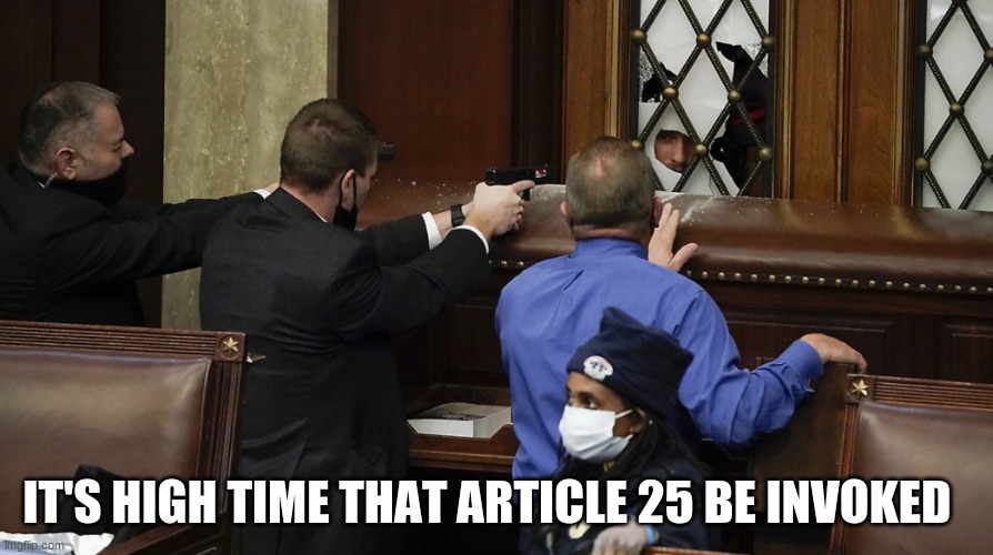 High Time | IT'S HIGH TIME THAT ARTICLE 25 BE INVOKED | image tagged in article 25,donald trump,treason,coup d-etat,cults,storming the capitol | made w/ Imgflip meme maker