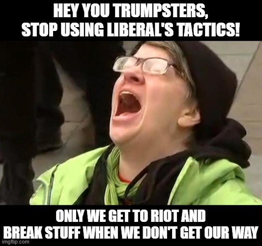 I can't believe how many liberals actually condemned rioting on Jan 6th | HEY YOU TRUMPSTERS, STOP USING LIBERAL'S TACTICS! ONLY WE GET TO RIOT AND BREAK STUFF WHEN WE DON'T GET OUR WAY | image tagged in liberal hypocrisy,stupid liberals,election 2020,truth,funny memes | made w/ Imgflip meme maker