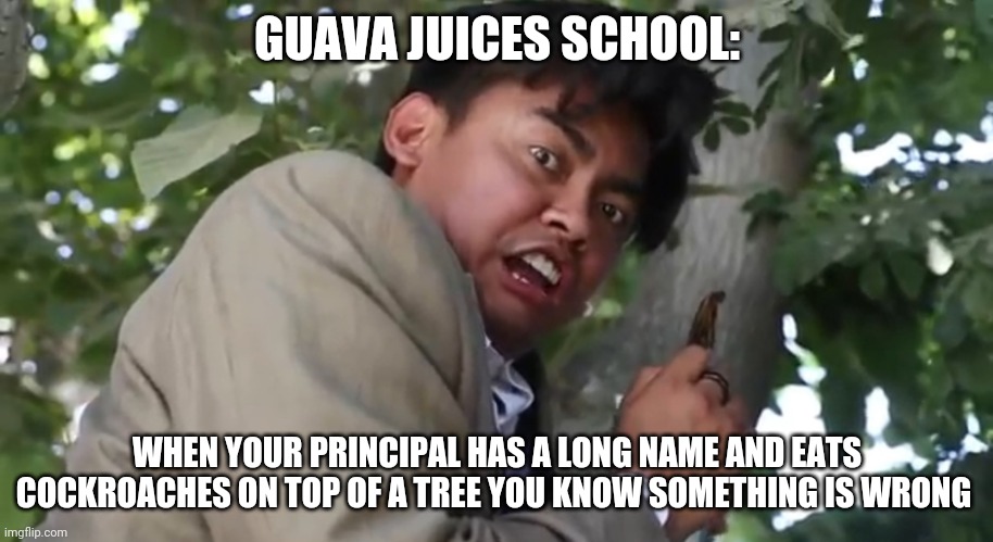 Principal Teacher Apolito Tito Nana | GUAVA JUICES SCHOOL:; WHEN YOUR PRINCIPAL HAS A LONG NAME AND EATS COCKROACHES ON TOP OF A TREE YOU KNOW SOMETHING IS WRONG | image tagged in principal teacher apolito tito nana | made w/ Imgflip meme maker
