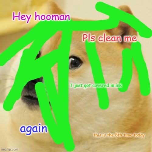 Doge Meme | Hey hooman Pls clean me I just got covered in ink again this is the 8th time today | image tagged in memes,doge | made w/ Imgflip meme maker