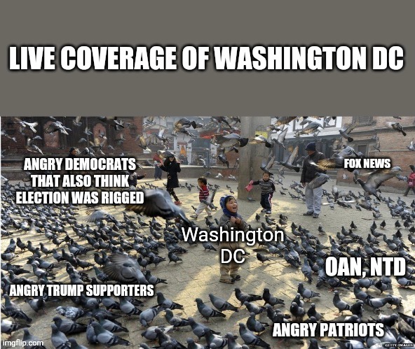 Live coverage of Washington | image tagged in washington dc,angry birds | made w/ Imgflip meme maker