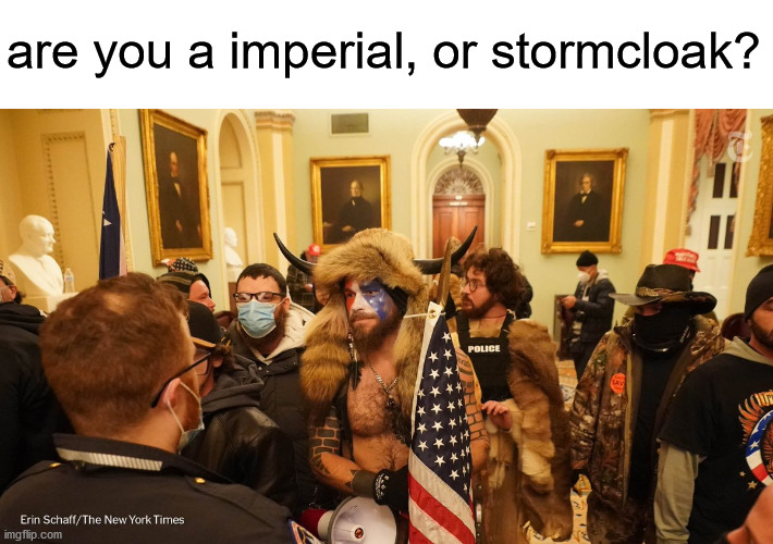 Skyrim in USA | are you a imperial, or stormcloak? | image tagged in skyrim,usa,riots,politics lol | made w/ Imgflip meme maker