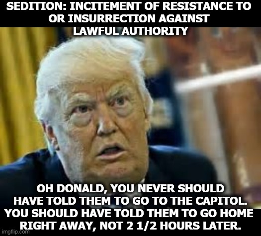 Trump, you're in a heap of trouble now. It wouldn't have happened without your encouragement. | SEDITION: INCITEMENT OF RESISTANCE TO 
OR INSURRECTION AGAINST 
LAWFUL AUTHORITY; OH DONALD, YOU NEVER SHOULD HAVE TOLD THEM TO GO TO THE CAPITOL. YOU SHOULD HAVE TOLD THEM TO GO HOME 
RIGHT AWAY, NOT 2 1/2 HOURS LATER. | image tagged in trump dilated loser,trump,coup,impeachment,twice | made w/ Imgflip meme maker