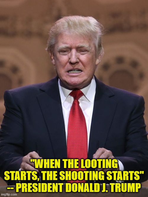 He literally said this | "WHEN THE LOOTING STARTS, THE SHOOTING STARTS"
-- PRESIDENT DONALD J. TRUMP | image tagged in donald trump,insurrection,2020,memes | made w/ Imgflip meme maker