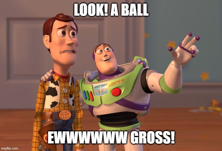 eew woody | LOOK! A BALL; EWWWWWW GROSS! | image tagged in memes,x x everywhere | made w/ Imgflip meme maker