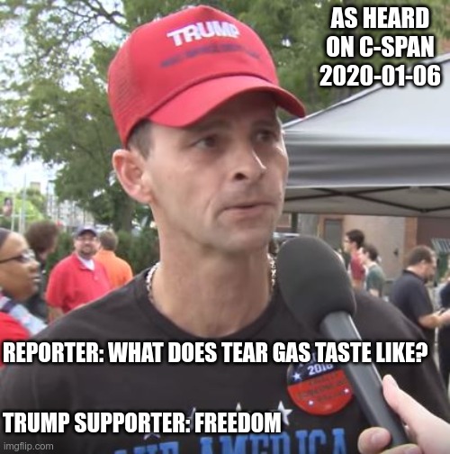 It tastes like freedom | AS HEARD ON C-SPAN 2020-01-06; REPORTER: WHAT DOES TEAR GAS TASTE LIKE? TRUMP SUPPORTER: FREEDOM | image tagged in trump supporter | made w/ Imgflip meme maker