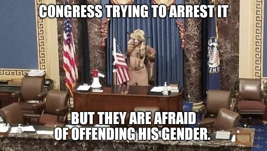 More useful than a politician | CONGRESS TRYING TO ARREST IT; BUT THEY ARE AFRAID OF OFFENDING HIS GENDER. | image tagged in more useful than a politician | made w/ Imgflip meme maker