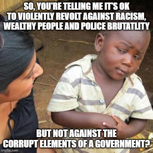 This is What It Has Come To | SO, YOU'RE TELLING ME IT'S OK TO VIOLENTLY REVOLT AGAINST RACISM, WEALTHY PEOPLE AND POLICE BRUTATLITY; BUT NOT AGAINST THE CORRUPT ELEMENTS OF A GOVERNMENT? | image tagged in memes,third world skeptical kid | made w/ Imgflip meme maker