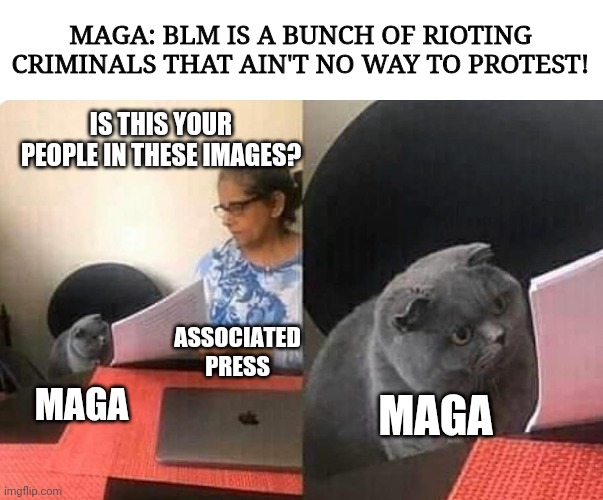 Cat teacher | MAGA: BLM IS A BUNCH OF RIOTING CRIMINALS THAT AIN'T NO WAY TO PROTEST! IS THIS YOUR PEOPLE IN THESE IMAGES? ASSOCIATED PRESS; MAGA; MAGA | image tagged in cat teacher | made w/ Imgflip meme maker