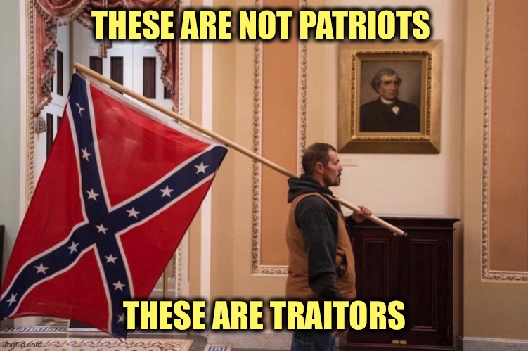 We’ve allowed these rebel scum to remain.  No more. | THESE ARE NOT PATRIOTS; THESE ARE TRAITORS | image tagged in the confederates lost,the nazis lost,trump lost,get over it,traitors | made w/ Imgflip meme maker